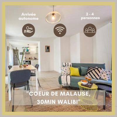Le Gite 1 - Appartement T2 De 53M2, Ideal Pro Ou Couples, Coeur De Ville Et Proche Golfech Malause Exteriör bild